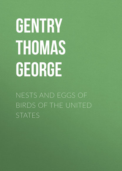 Nests and Eggs of Birds of The United States (Gentry Thomas George). 