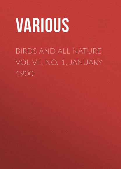Various — Birds and All Nature Vol VII, No. 1, January 1900