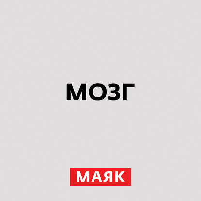

Интеллект у собак