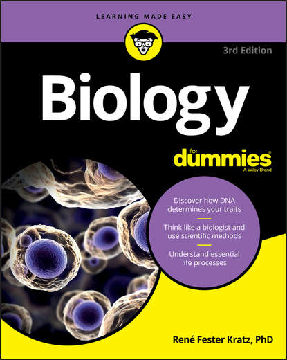 Rene Fester Kratz - Biology For Dummies