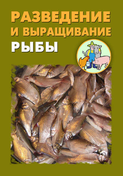 Илья Мельников — Разведение и выращивание рыбы