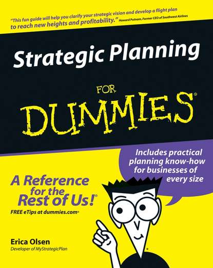 Erica  Olsen - Strategic Planning For Dummies