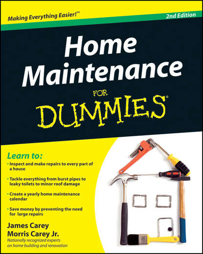 Home Maintenance For Dummies (James  Carey). 
