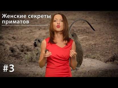 Женские секреты приматов - Евгения Тимонова
