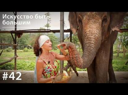 Слон: Искусство быть большим - Евгения Тимонова