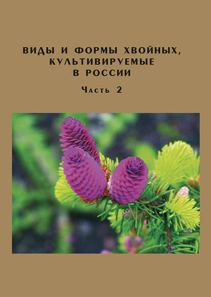 Виды и формы хвойных, культивируемые в России. Часть 2. Picea A. Dietr., Thuja L. : Д. Л. Матюхин