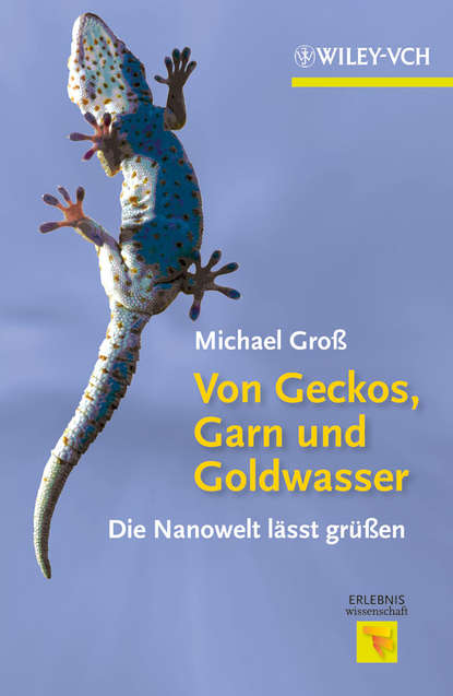Michael  Gross - Von Geckos, Garn und Goldwasser. Die Nanowelt lässt grüßen
