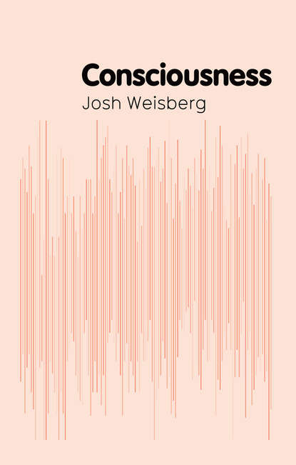 Josh  Weisberg - Consciousness