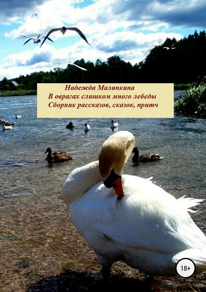 Надежда Викторовна Малинкина — В оврагах слишком много лебеды…