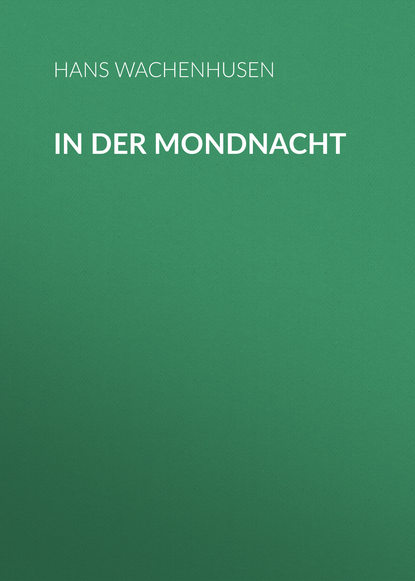 In der Mondnacht