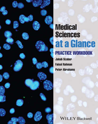 Medical Sciences at a Glance - Peter  Abrahams