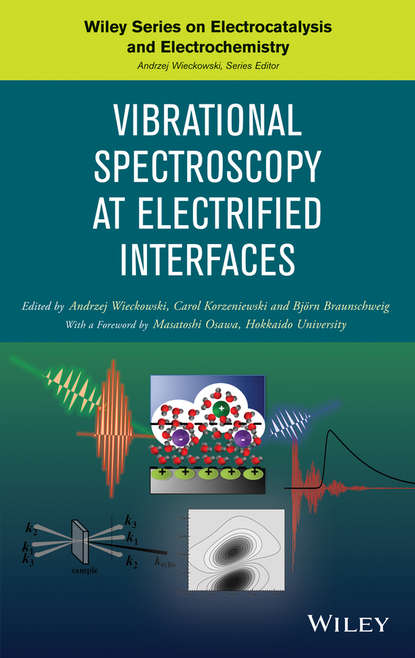Björn Braunschweig - Vibrational Spectroscopy at Electrified Interfaces