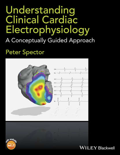 Understanding Clinical Cardiac Electrophysiology