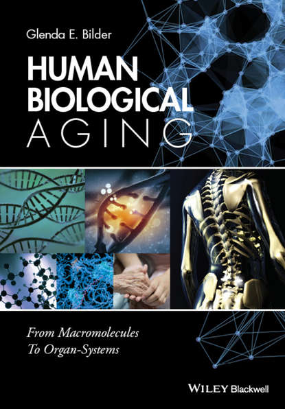 Human Biological Aging - Glenda E. Bilder