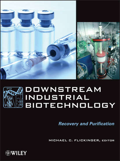 Группа авторов - Downstream Industrial Biotechnology