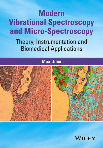 Max Diem - Modern Vibrational Spectroscopy and Micro-Spectroscopy