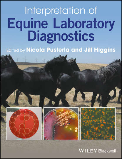 Группа авторов - Interpretation of Equine Laboratory Diagnostics