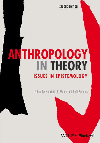 Группа авторов - Anthropology in Theory