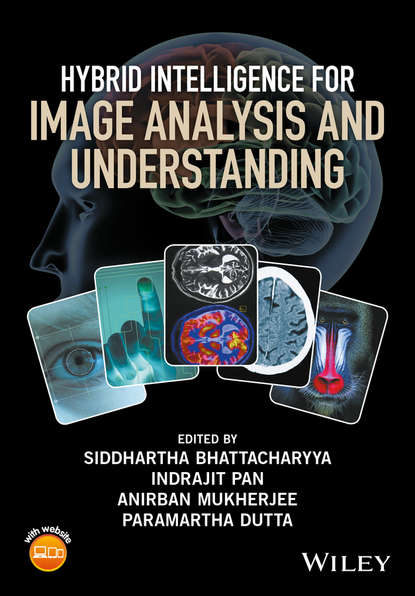 Группа авторов - Hybrid Intelligence for Image Analysis and Understanding