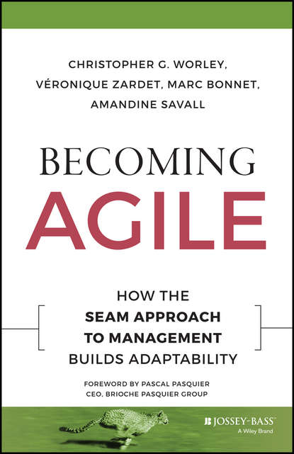 Veronique  Zardet - Becoming Agile