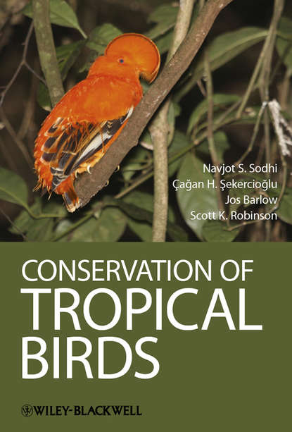 Conservation of Tropical Birds - Navjot S. Sodhi