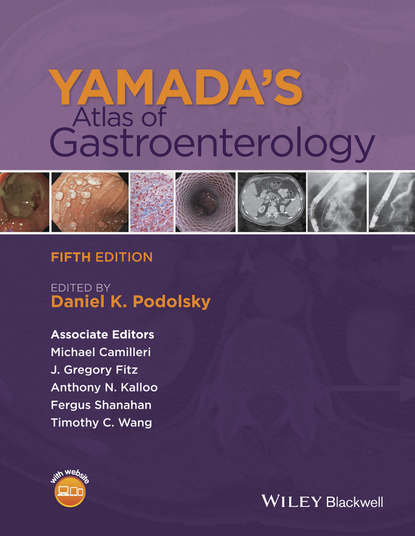 Yamada's Atlas of Gastroenterology - Группа авторов