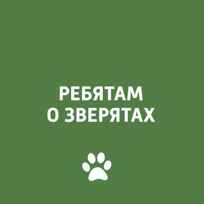 

Верблюды