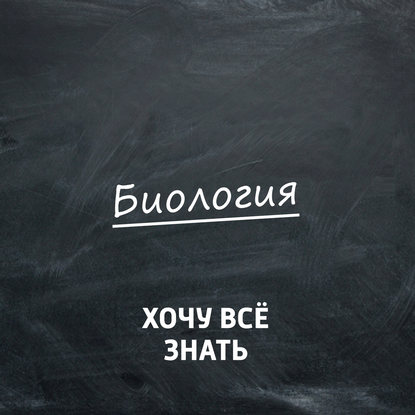 

Органы чувств у животных