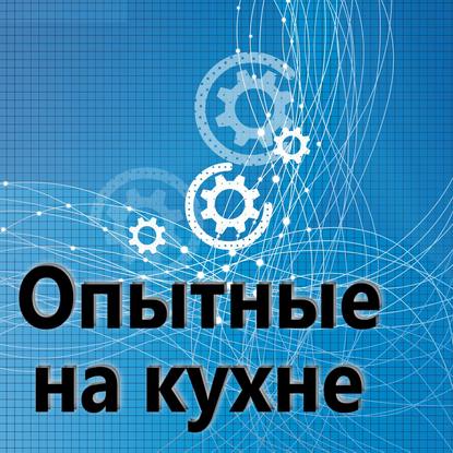 

Опытные на кухне №009