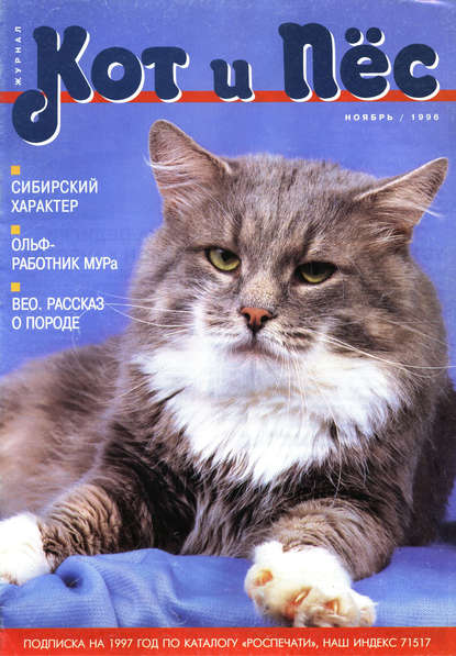 Группа авторов — Кот и Пёс №08/1996