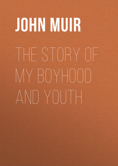 The Story of My Boyhood and Youth - John Muir