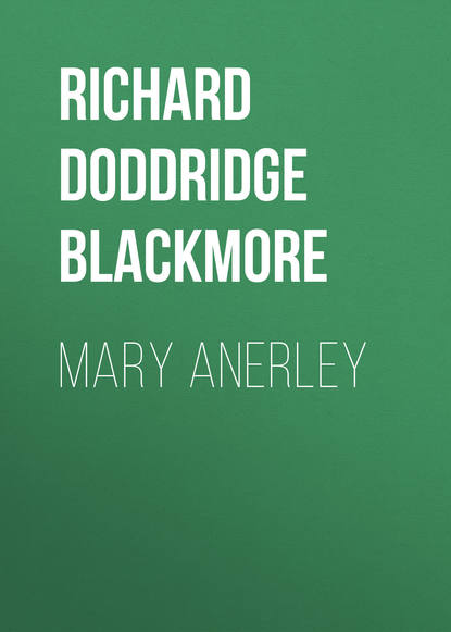 Mary Anerley - Richard Doddridge Blackmore