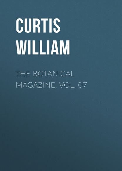 The Botanical Magazine, Vol. 07 (Curtis William). 