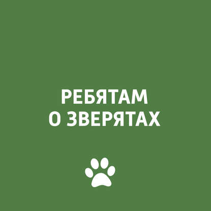 

Морские рыбки и правила их содержания