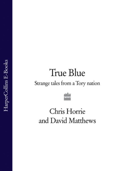 David  Matthews - True Blue: Strange Tales from a Tory Nation