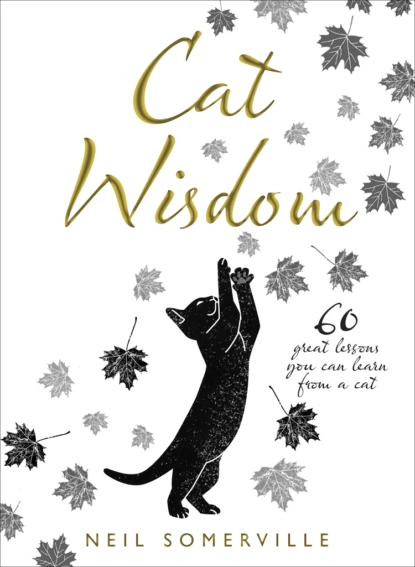 Обложка книги Cat Wisdom: 60 great lessons you can learn from a cat, Neil  Somerville