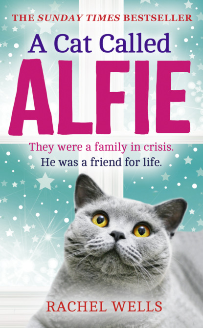 Rachel Wells — A Cat Called Alfie