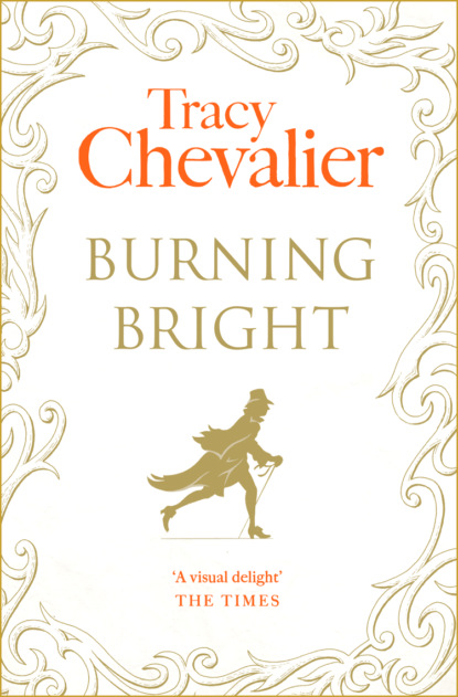 Tracy  Chevalier - Burning Bright