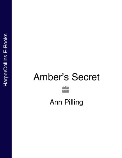 Ann Pilling - Amber’s Secret