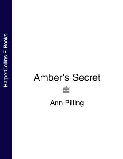 Обложка книги Amber’s Secret, Ann Pilling