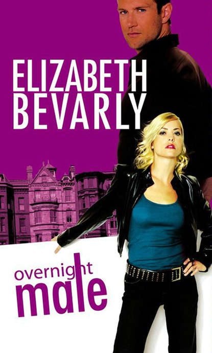 Elizabeth Bevarly - Overnight Male