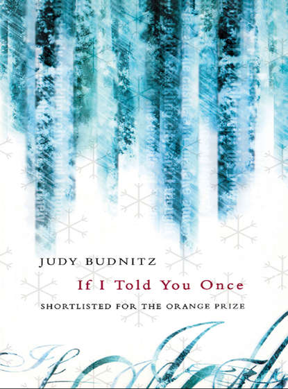 If I Told You Once (Judy  Budnitz). 