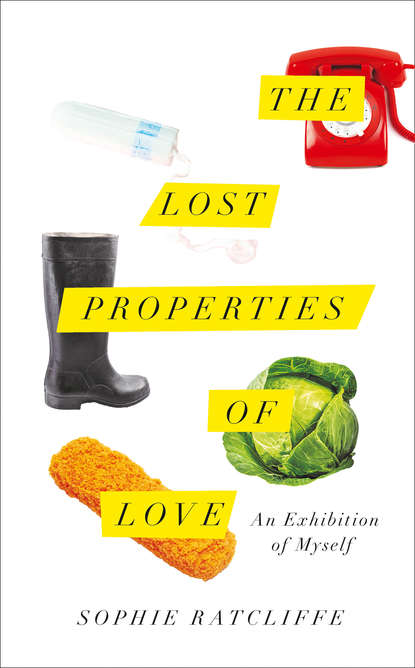 The Lost Properties of Love (Sophie  Ratcliffe). 