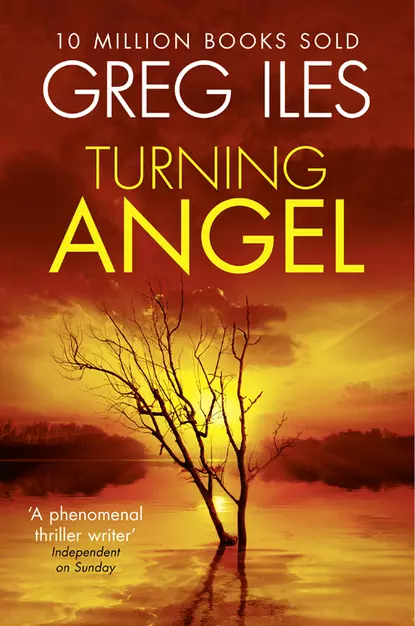 Обложка книги Turning Angel, Greg  Iles