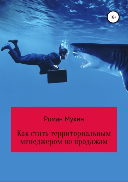 Как стать территориальным менеджером по продажам - Роман Николаевич Мухин