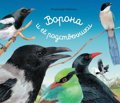

Ворона и её родственники