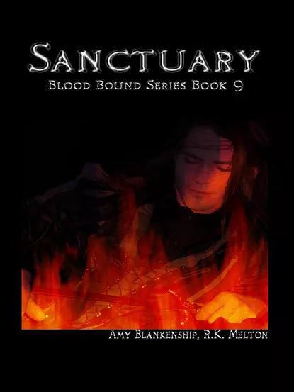 Обложка книги Sanctuary , Amy Blankenship