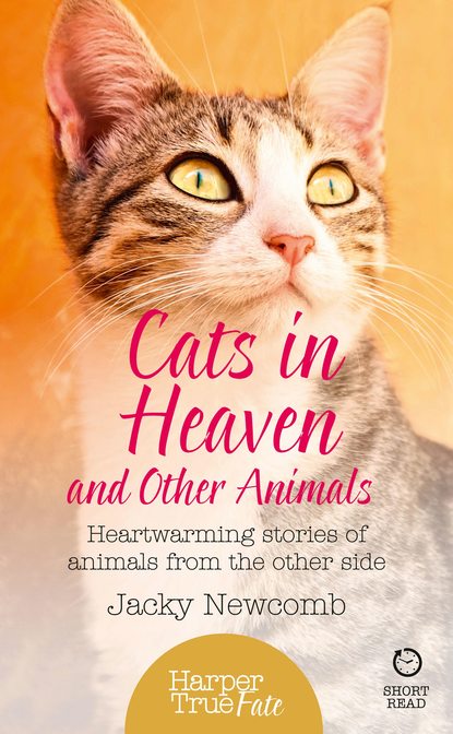 Jacky  Newcomb - Cats in Heaven: And Other Animals. Heartwarming stories of animals from the other side.