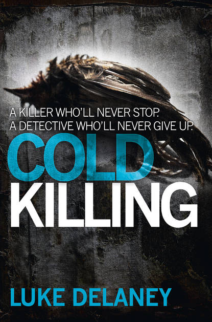 Luke  Delaney - Cold Killing