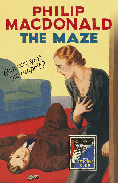 The Maze (Julian  Symons). 